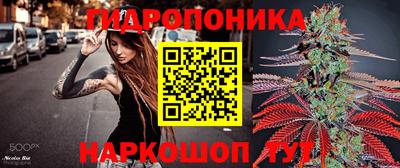 ALPHA PVP Камышлов