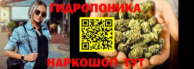 ALPHA PVP Камышлов