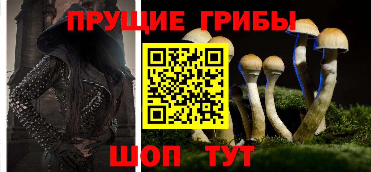 Псилоцибиновые грибы GOLDEN TEACHER  Вход с VPN  Галлюциногенные грибы MAGIC MUSHROOMS  Конаково 